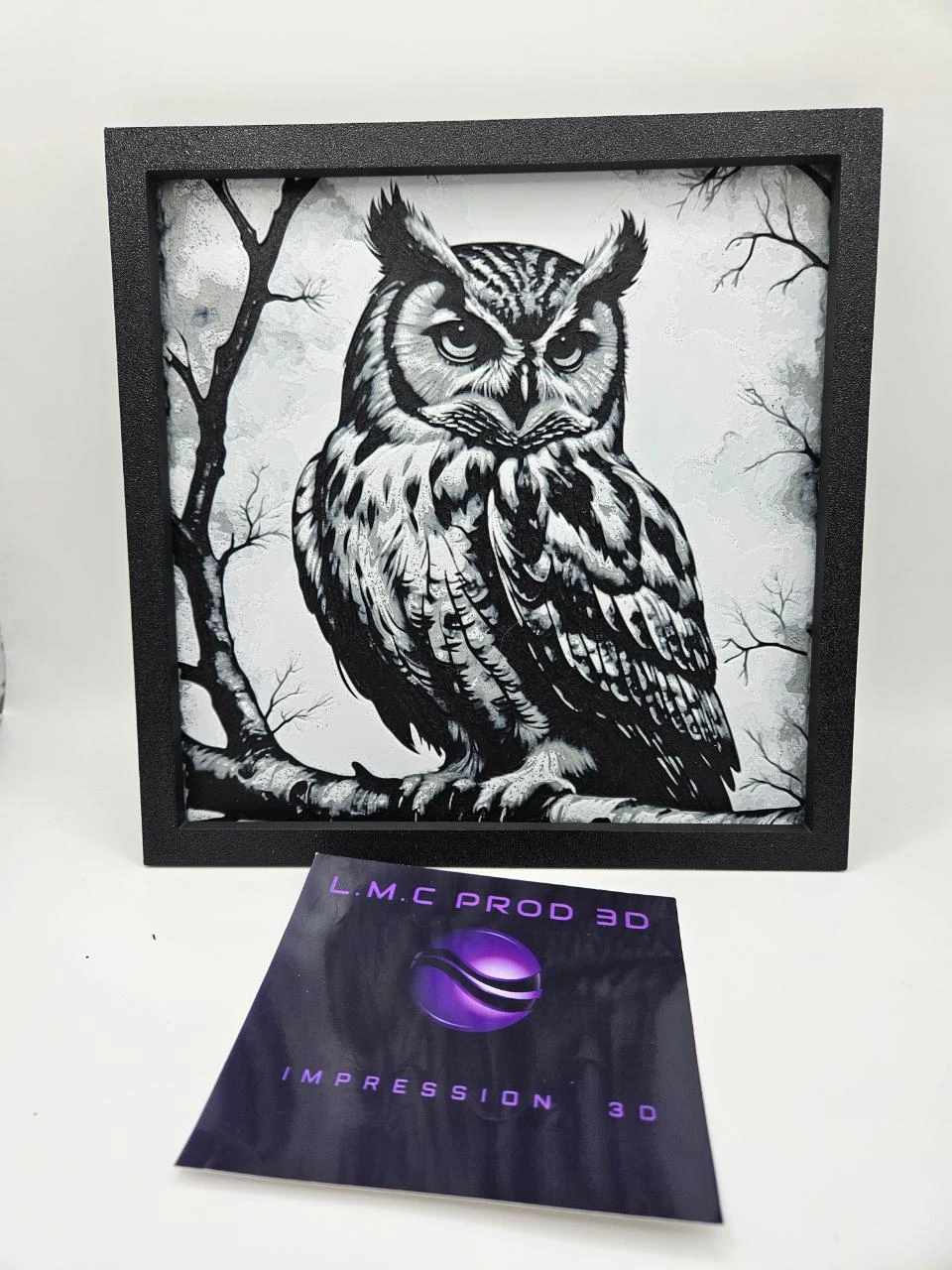 CADRE HIBOU